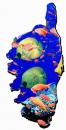 vente, installation, entretien, dcoration d'aquarium en eau douce et eau de mer sur la corse, aquarium, vivier, bassin,