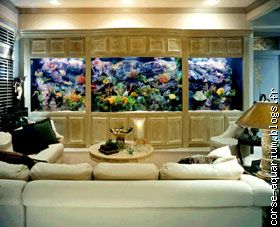 aquarium salon